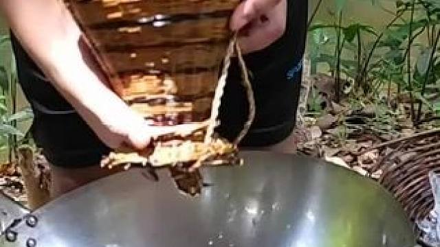 东南亚原始美味 #农村生活 #我的乡村生活 #原始美味 #农村美食 #农村柴火灶