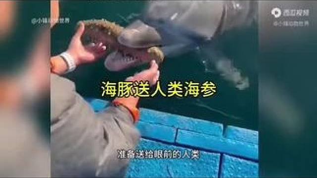 #透过水面看阳光好像梦境