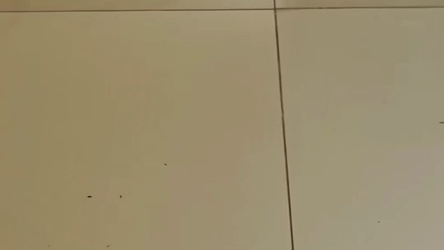 楼梯滚瓶子爆破解压时刻