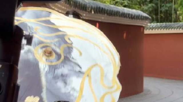 漫天桃花只为翩翩少年郎～