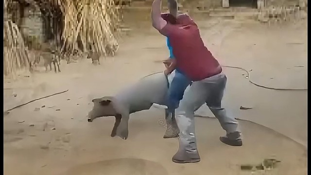 一箭双雕[笑哭]