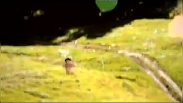 下载《西瓜视频》，免费观看精彩后续/精彩海量免费短剧免费看vjov18 #因为一个片段看了整部剧