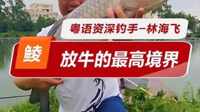 神操作只鱼好钻台底 鱼钻台底米见多了，鱼竿钻台底米见过吗？