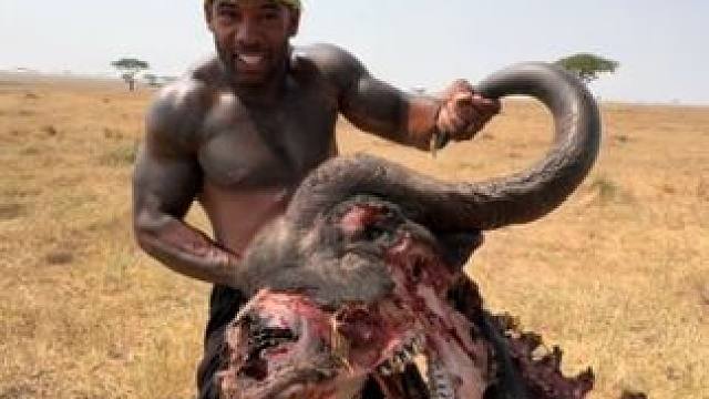 三只狮子一晚上吃掉了一头水牛 #国外视频分享 #奇妙的动物 #野生动