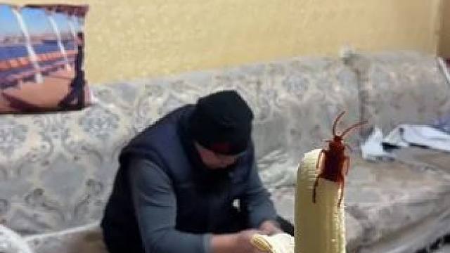 我发布了一个新视频，快来围观吧！