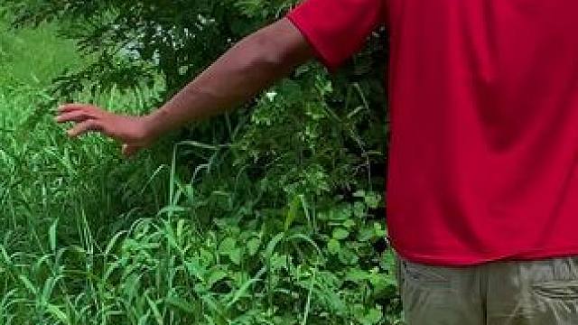 东南亚乡村美食 #农村生活 #我的乡村生活 #原始美味 #农村柴火灶 #农村美食