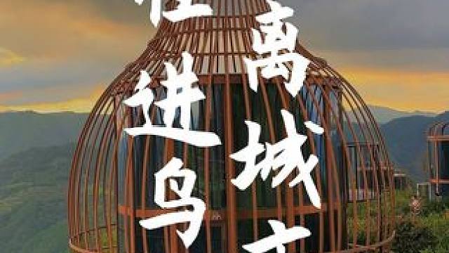 你什么时候能逃脱城市的牢笼？
像鸟儿一样自由，
住进鸟巢，
享受幽静快乐的亲子时光！
#住进风景里 