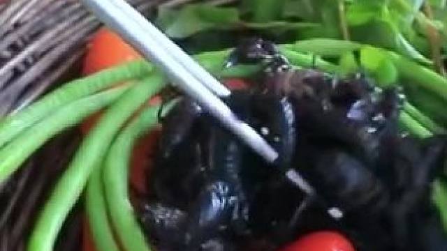 水煮小龙虾 #农村生活 #我的乡村生活 #原始美味 #农村美食 #小龙虾