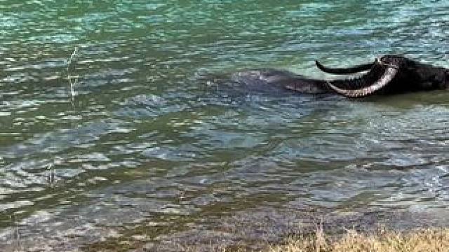 钓鱼！还钓个毛啊#钓鱼佬