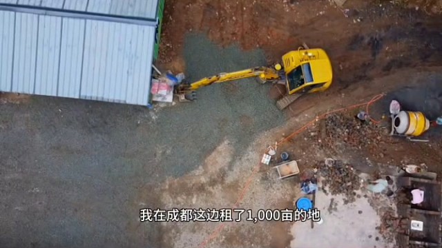 向前农场大帅，四川成都