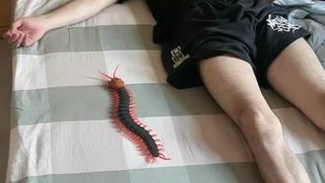 我发布了一个新视频，快来围观吧！