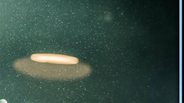 拥有麒麟臂是种什么体验，仅靠掰手腕成为全国冠军 #电影解说