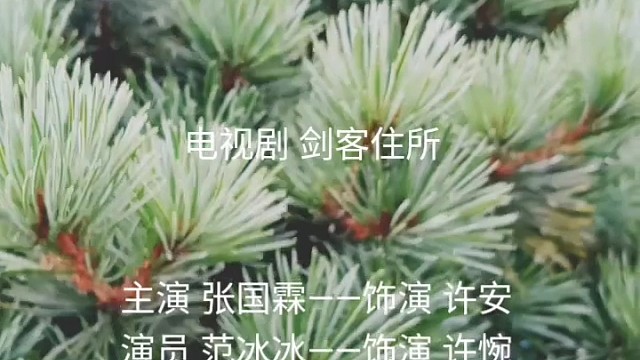 偶像明星张国霖zero zhang