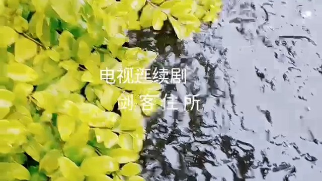 偶像明星张国霖zero zhang