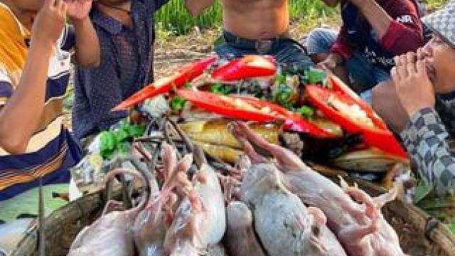 乡下抓田鼠 #我的乡村生活 #农村生活 #原始美味 #抓田鼠 #山居生活