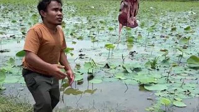 哈哈矮子来了 #我的乡村生活 #农村生活 #原始美味 #农村柴火灶 #农村美食