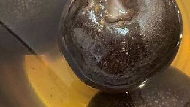 我发布了一个新视频，快来围观吧！