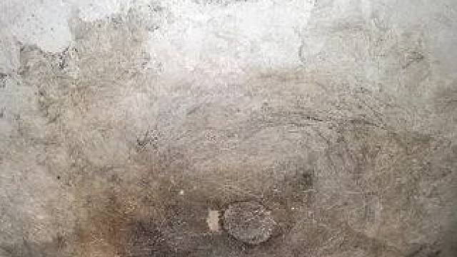 农场生活 #农村生活 #我的乡村生活 #原始美味 #农村美食