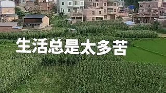 家乡的风景还可以，可惜就是有点孤单。##记录家乡美景