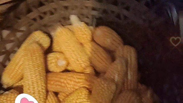 老火老火老火老火