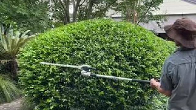 我发布了一个新视频，快来围观吧！