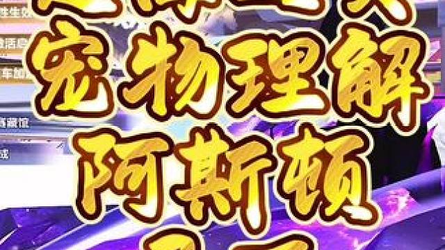 QQ飞车手游宠物理解！#qq飞车手游 #QQ飞车手游公测6周年 #飞车驰某人