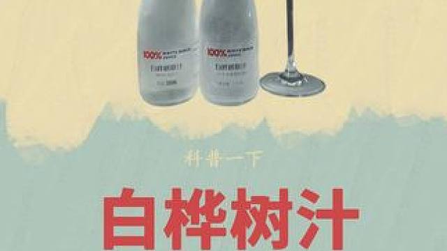 原来白桦树汁是真的从白桦树里获取的#白桦树汁 #白桦树 #饮品 #科普