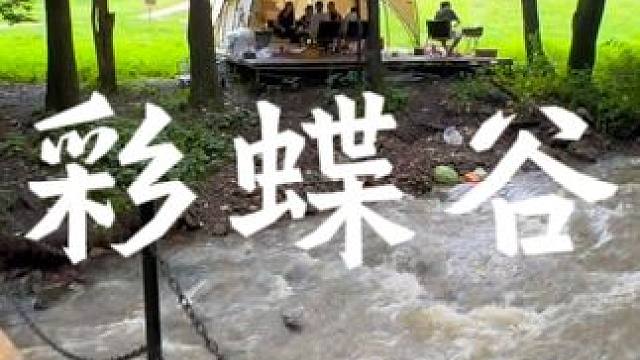 雨后的彩蝶谷露营基地#旅行推荐官 #哈尔滨露营地推荐 #亲子游玩好去处 #黑龙江 #露营烧烤地点推荐