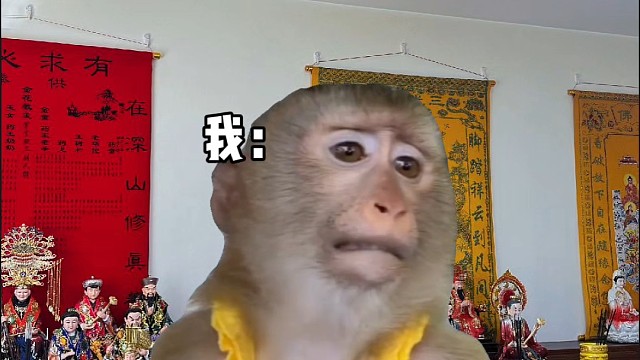 你们都有什么林夕可以交流交流