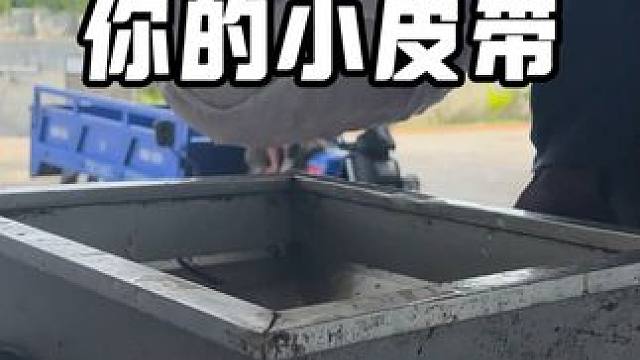 小皮带干饭了！ #鳄鱼 #鳄珍 #鳄鱼皮带