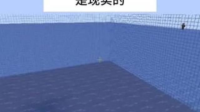 主页有我的世界手机版宝可梦 #我的世界 #我的世界版本连更