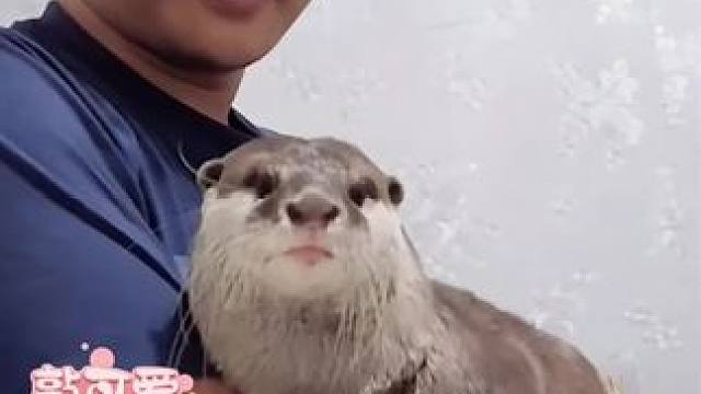 谁家没个小可爱