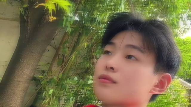 等不到你的晚安