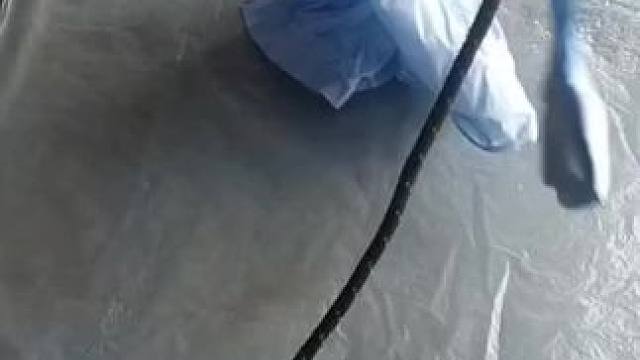 我发布了一个新视频，快来围观吧！