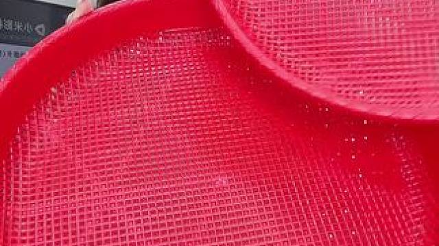 #筛子  #超便宜超划算