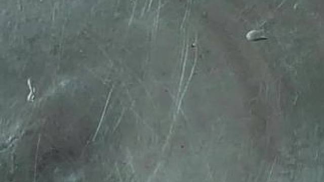 东南亚林蛙 #我的乡村生活 #农村生活 #农村柴火灶 #农村美食