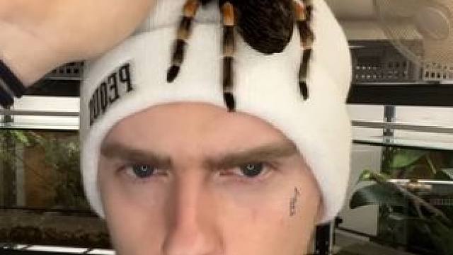 #国外视频分享 #宠物