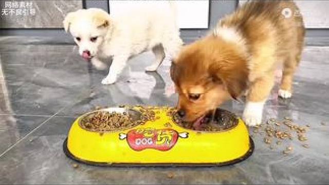 #关注我每天分享不同的故事