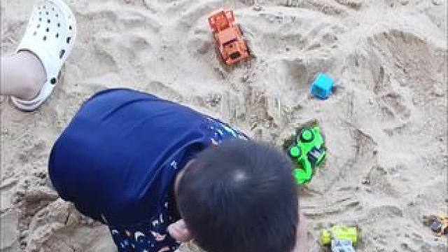 豆哥的专注力 #高温天气注意防暑