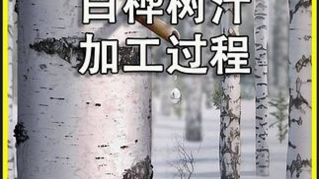 这个黑人虽然生活贫困，但每天喝的水比黄金还珍贵#白桦树汁 #桦树汁 #白桦树原汁 #饮品