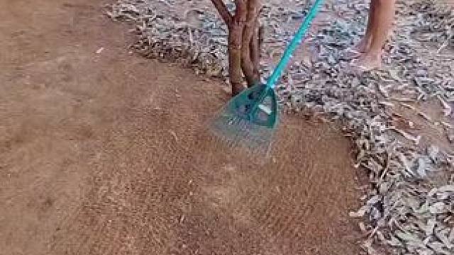 我发布了一个新视频，快来围观吧！