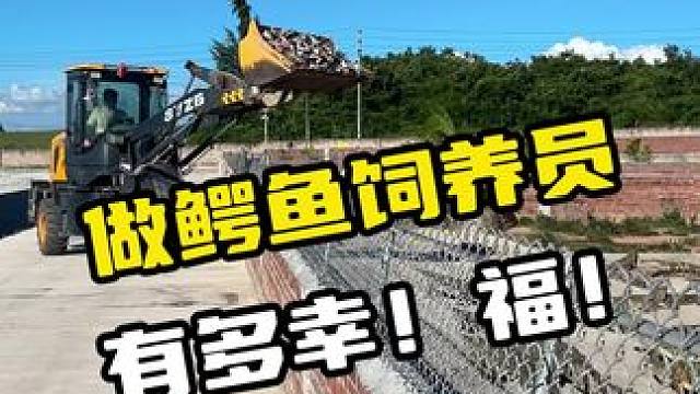 做鳄鱼饲养员，有多幸福#鳄鱼 #鳄珍鳄鱼酒 #鳄鱼养殖场 #内容过于真实