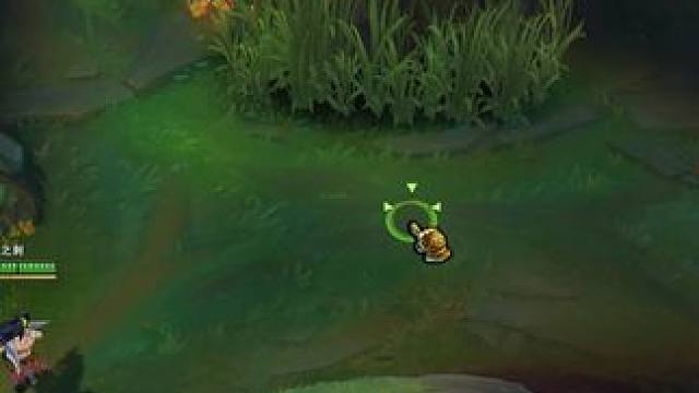 有没有什么方法可以停下来 #lol #游戏日常