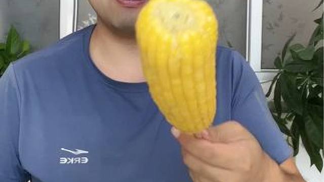 #揭秘 #试吃 #东北糯玉米 #软糯香甜