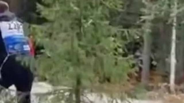 "引擎轰鸣疾驰如风，贴地竞速掀起狂澜，踏入2024WRC芬兰赛场，共赏速度与激情的极致盛宴！"#wr