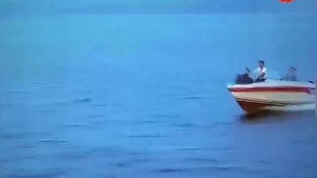 下载《西瓜视频》，免费观看精彩后续/精彩海量免费短剧免费看vjyf25 #因为一个片段看了整部剧
