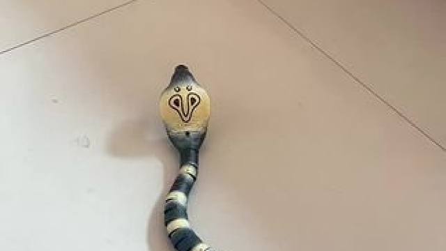 我发布了一个新视频，快来围观吧！