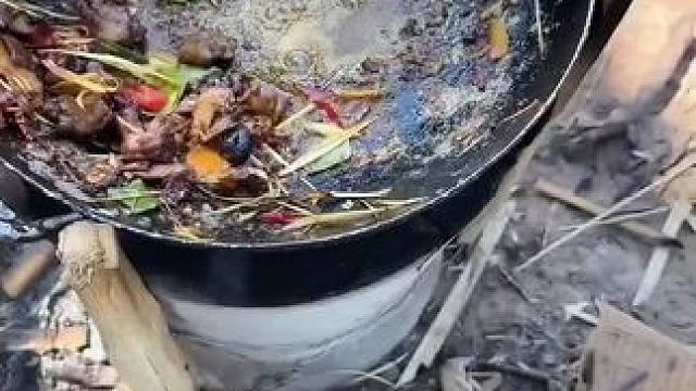 爆炒田鼠肉 #我的乡村生活 #农村生活 #农村美食 #原始美味