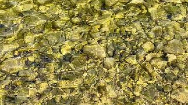 贵阳白水河虽然周末人多，但沿线全是玻璃水，玩水的地方也很多 #在贵州等你来避暑 #清凉避暑好去处 #