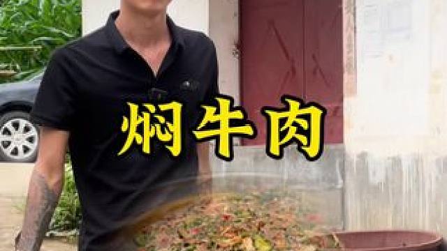 焖牛肉#新农人计划2024 #农村生活 #回村后的我